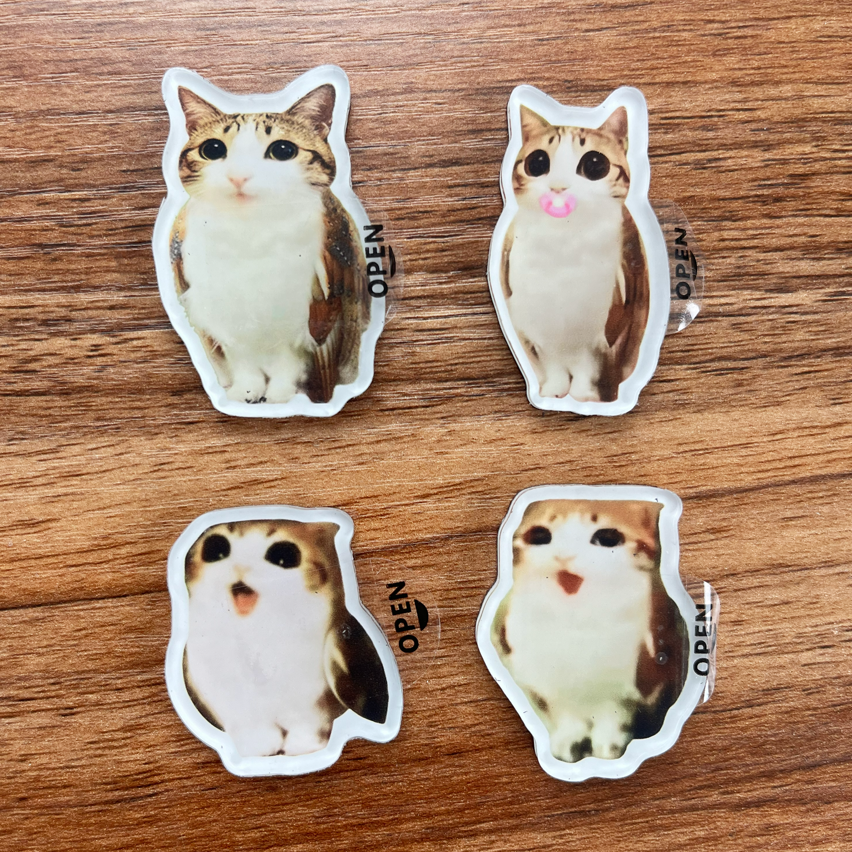 meowl fridge magnets pack